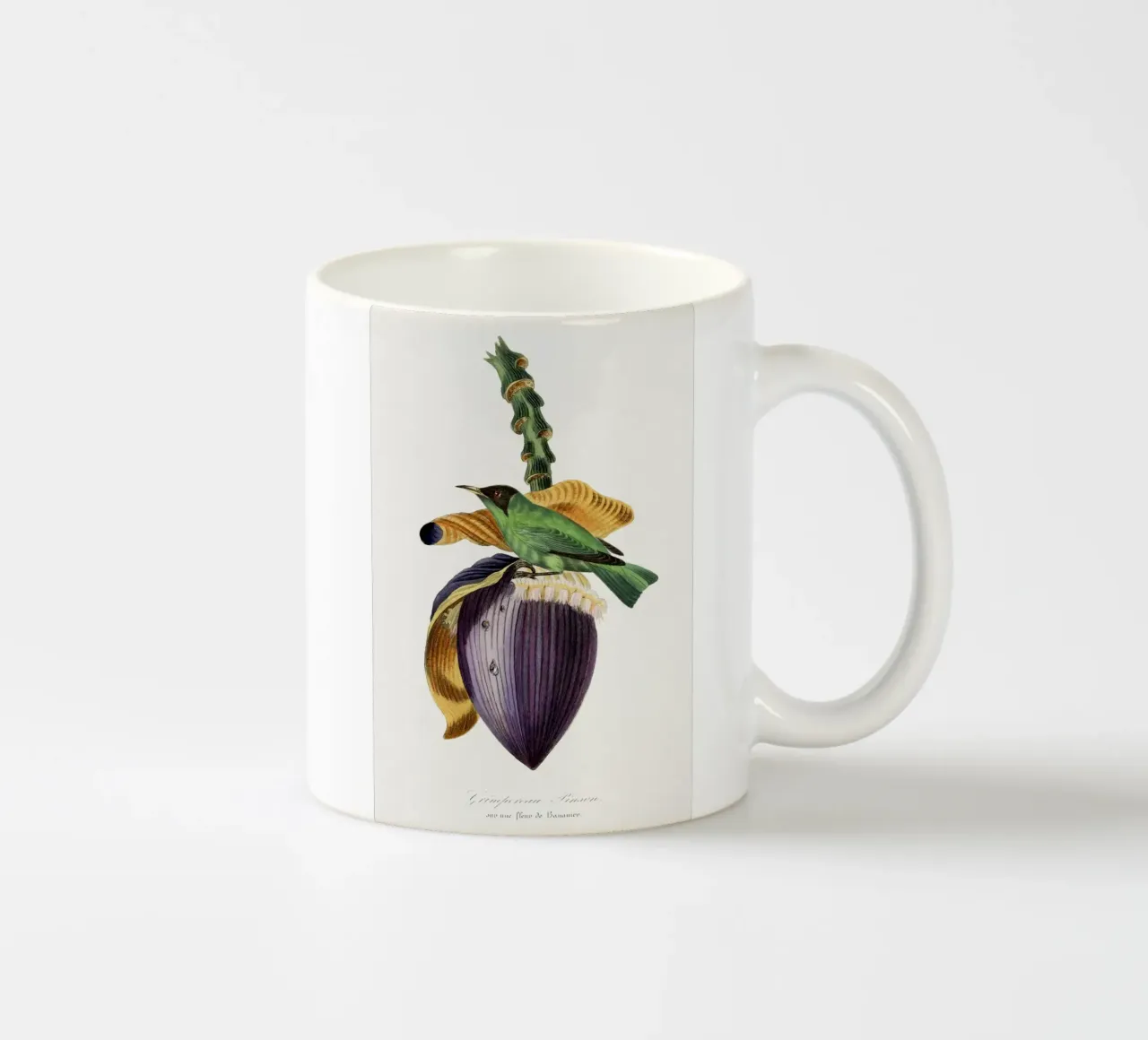 Treecreeper bird painting. tazza in ceramica da vintageshop