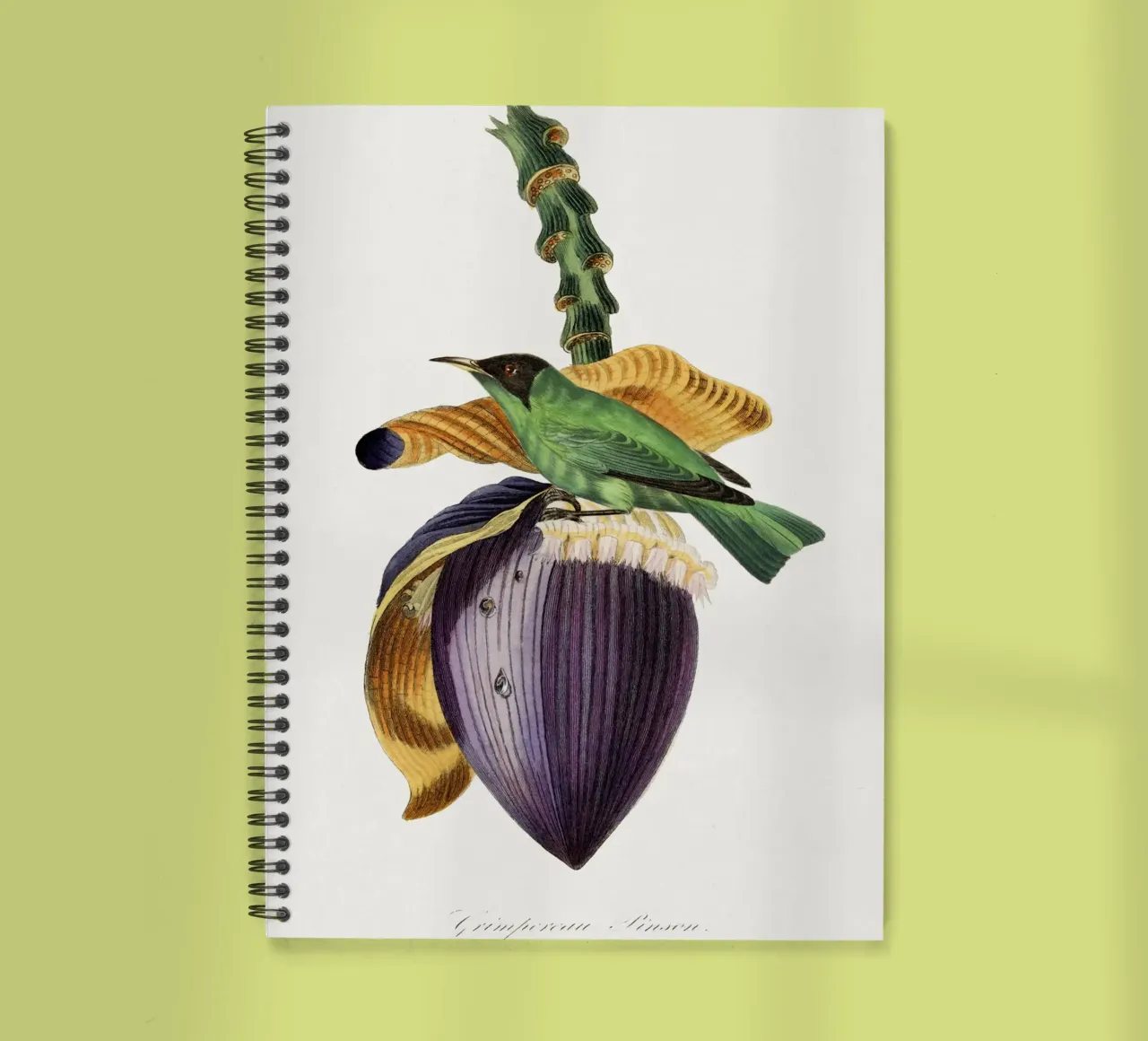 Treecreeper bird painting. spiral notebook by vintageshop