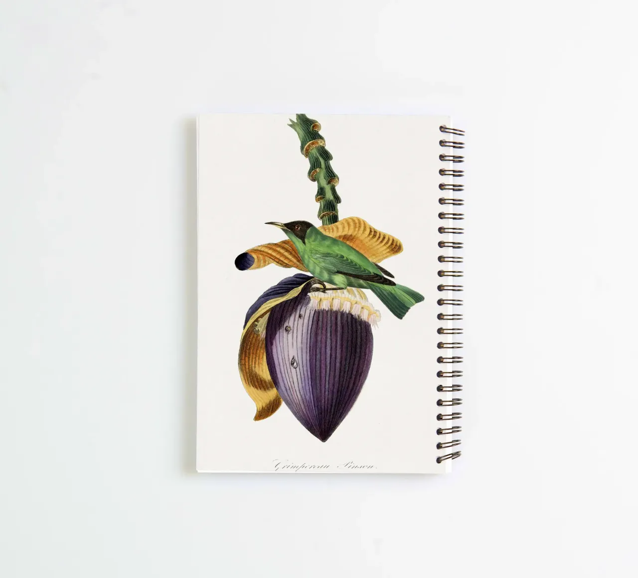 Treecreeper bird painting. spiral notebook by vintageshop