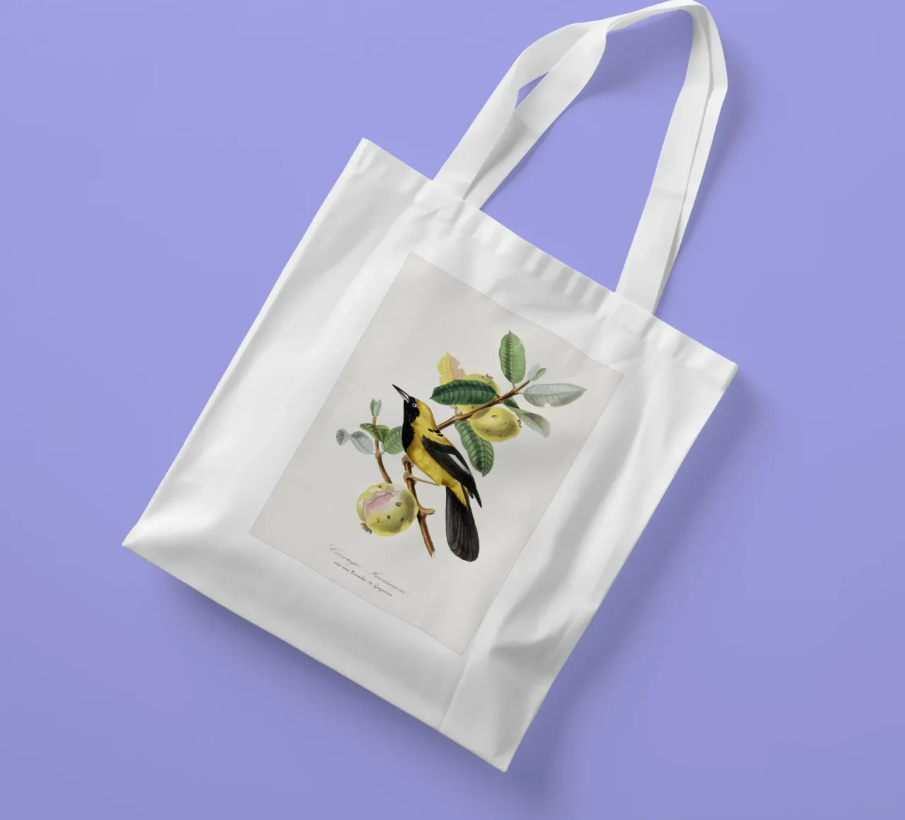 Jacamar bird painting. borsa in juta da vintageshop