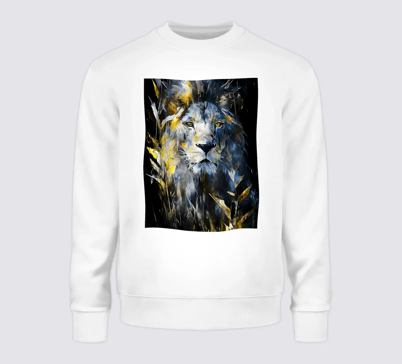 Lion Modern 2 felpa da Mateo