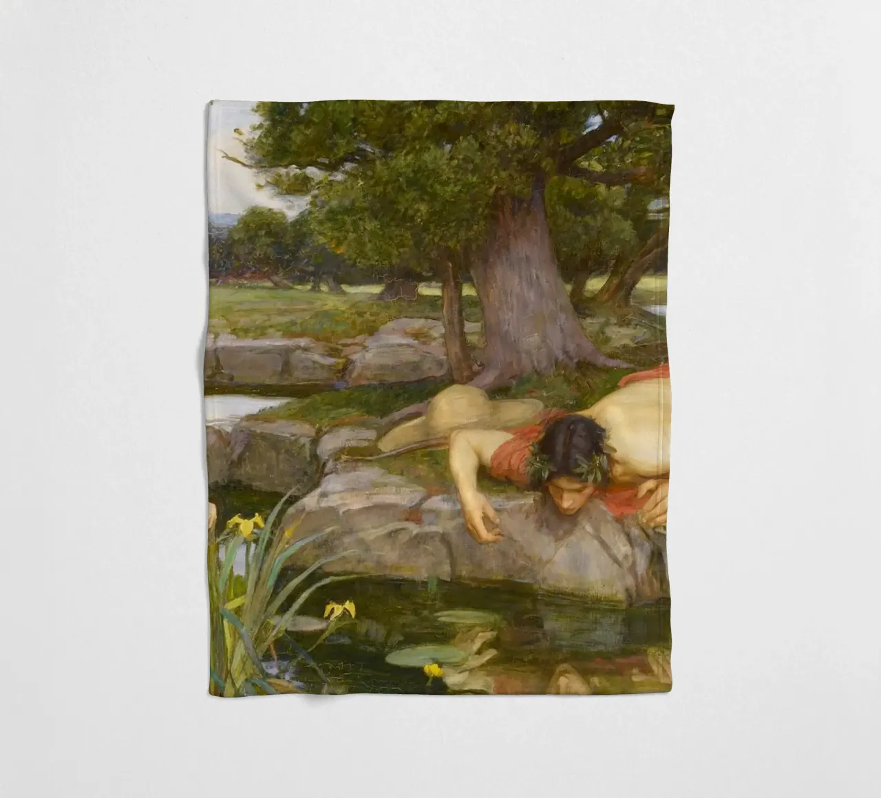 Eco e Narciso di John William Waterhouse coperta in pile da Venus Art