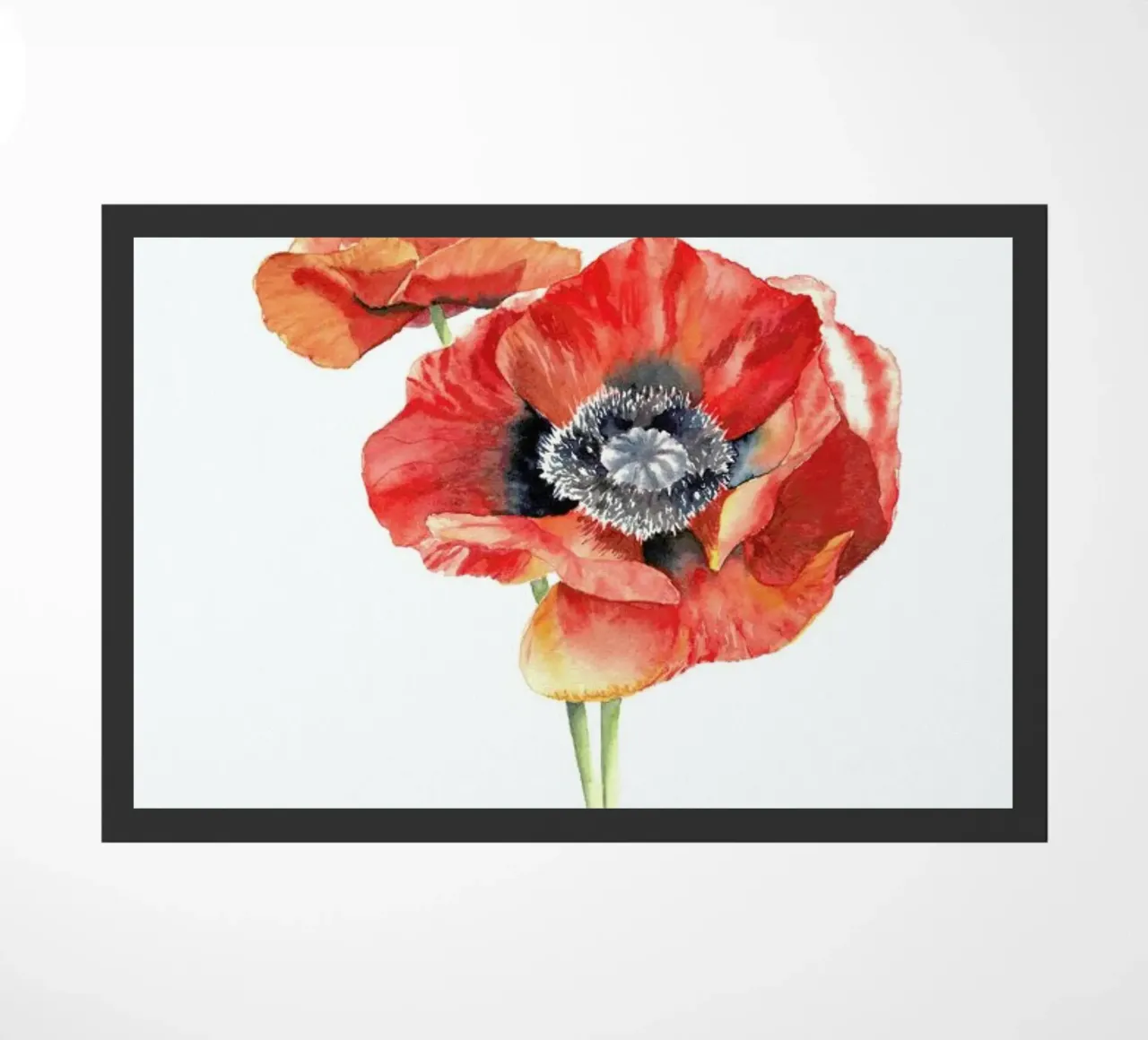 Mohnblüten zerbino da youdesignme