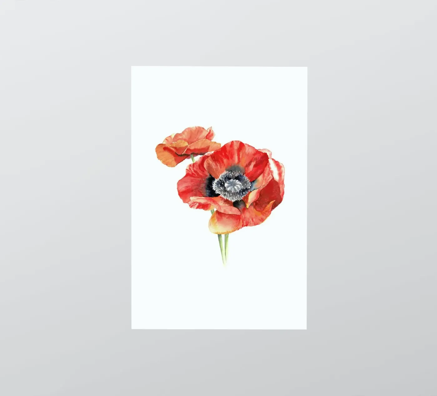 Mohnblüten sticker by youdesignme