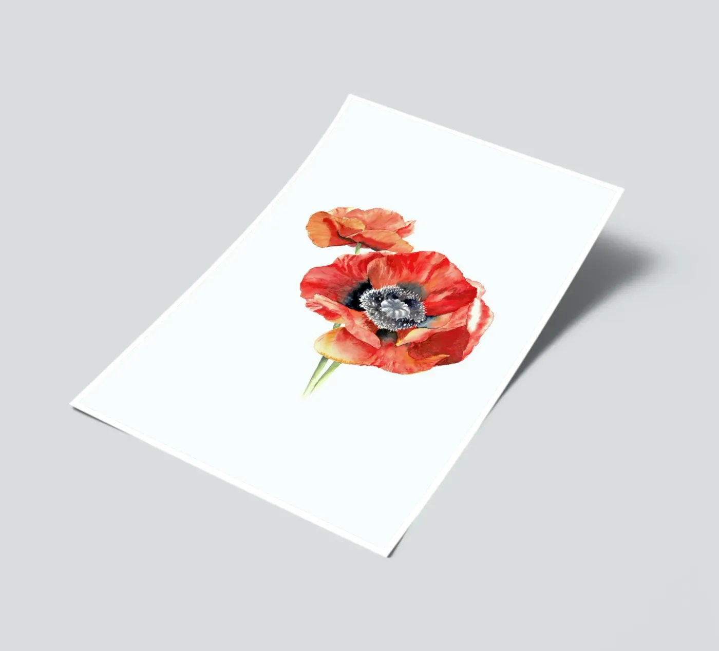 Mohnblüten sticker sheet by youdesignme