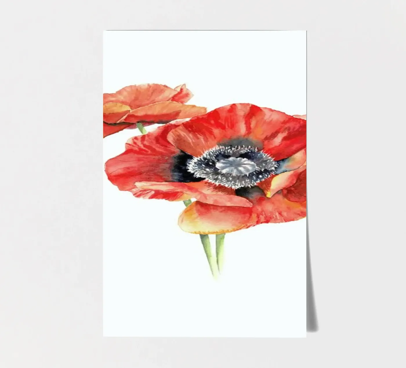 Mohnblüten sticker sheet by youdesignme