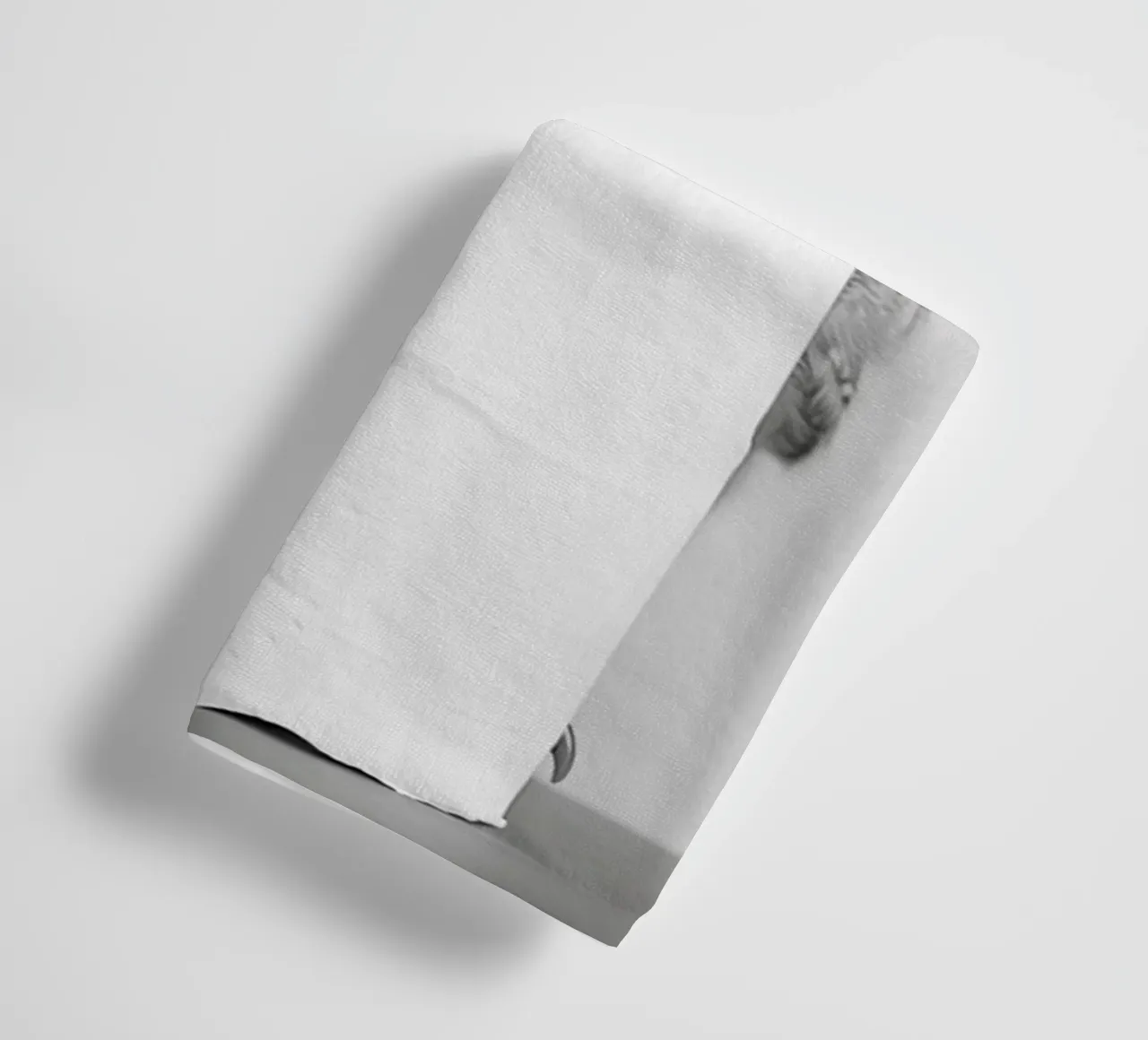 Gufo asciugamano da bagno da animals_studio