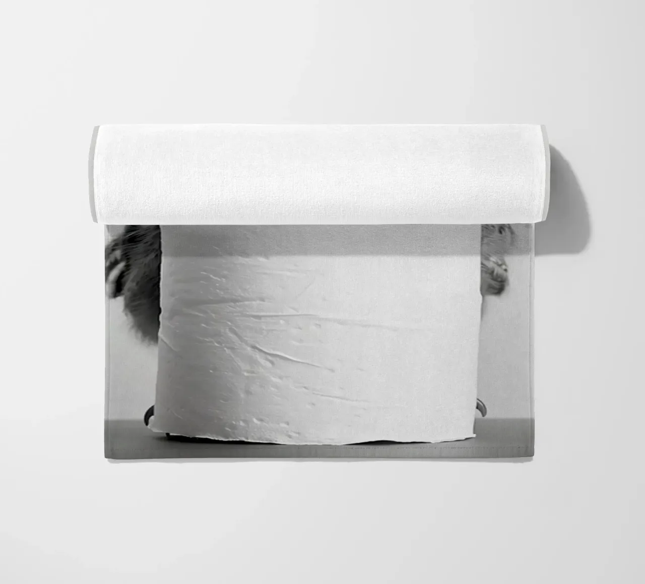Gufo telo mare da animals_studio
