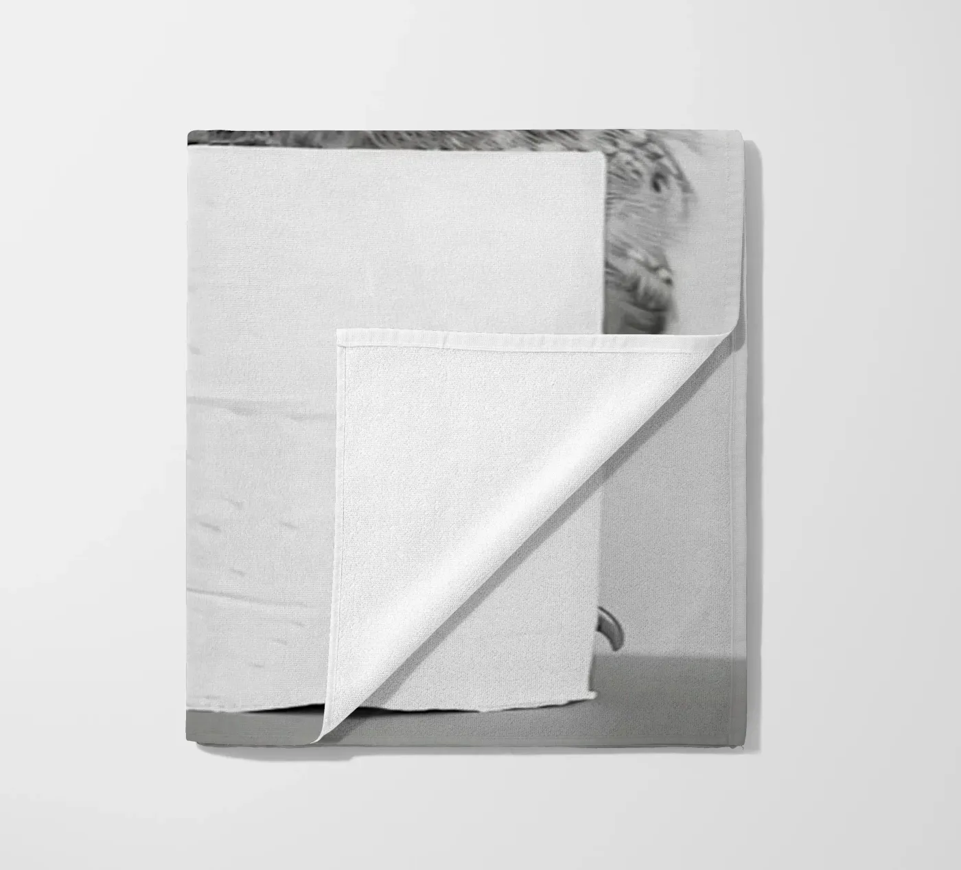 Gufo telo mare da animals_studio