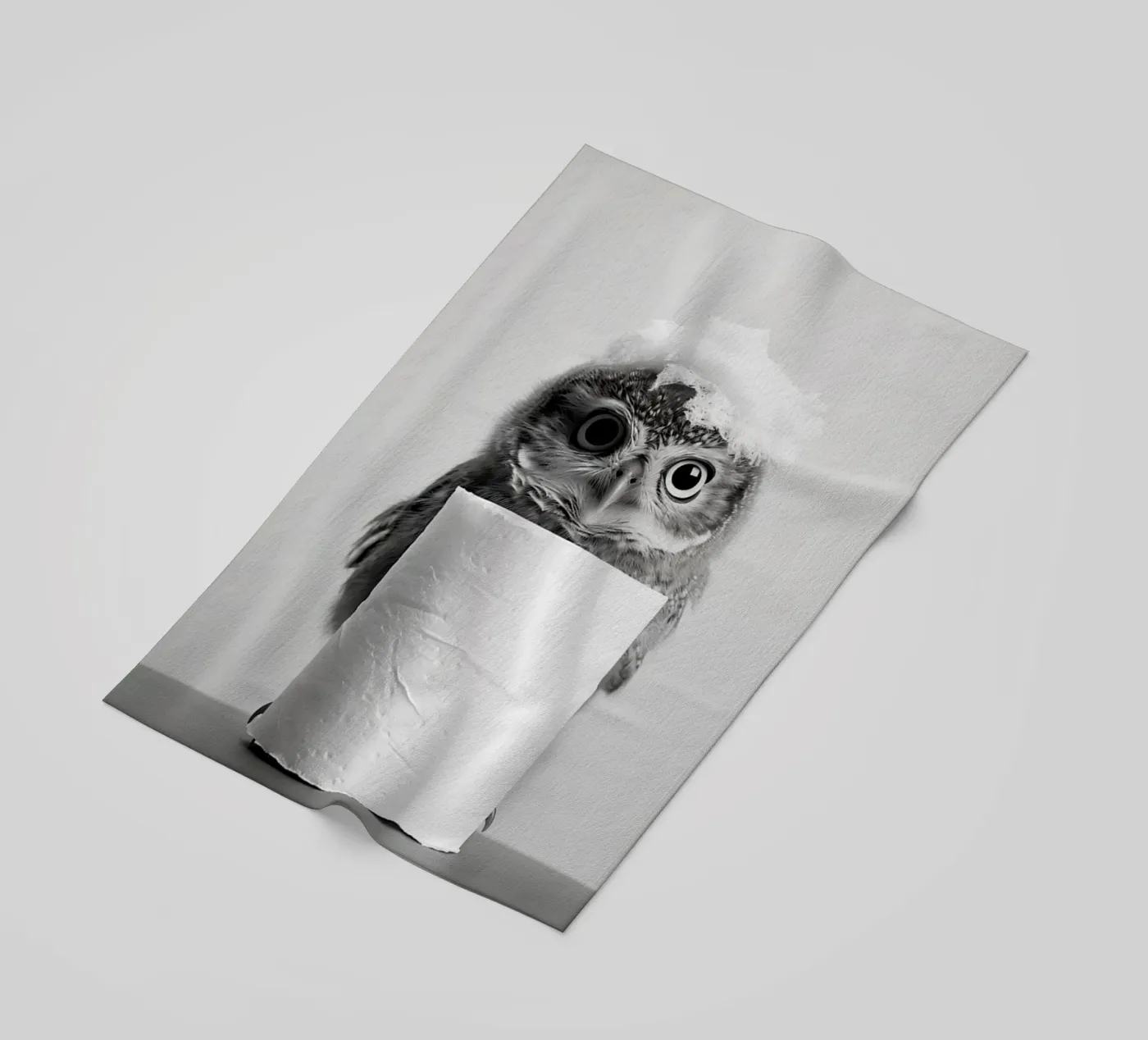 Gufo telo mare da animals_studio