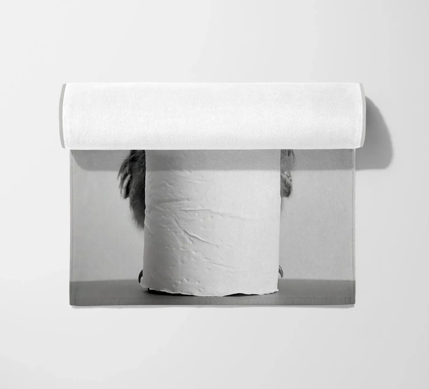 Gufo telo mare da animals_studio