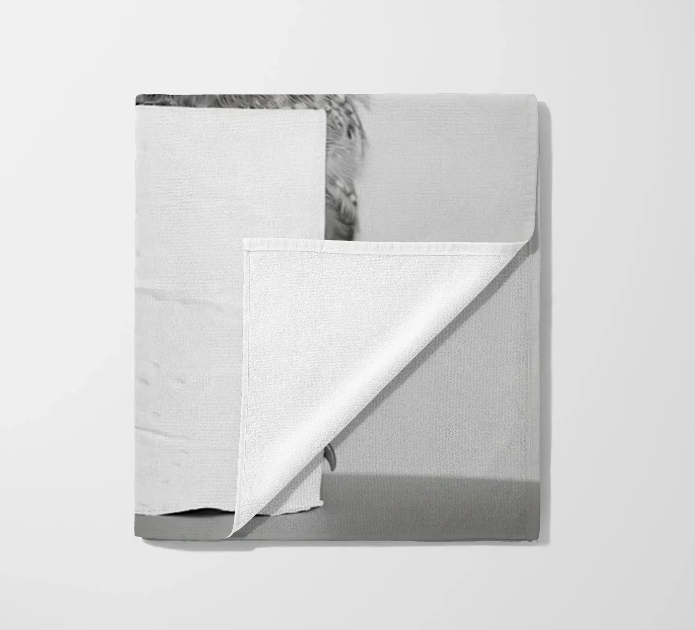 Gufo telo mare da animals_studio