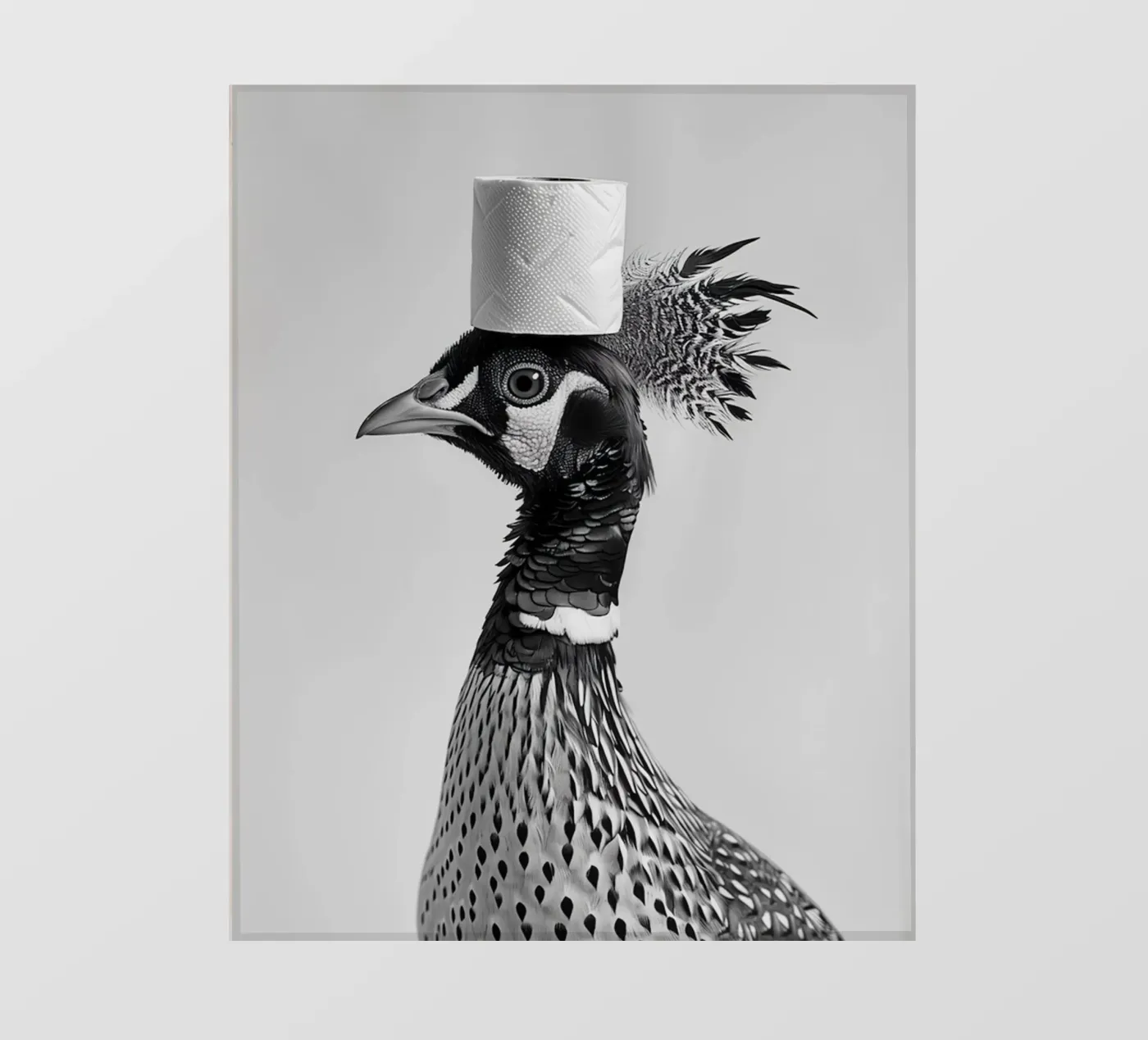 Fagiano pellicola backlit da animals_studio