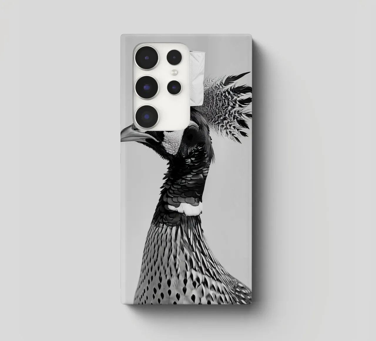 Fagiano cover samsung da animals_studio