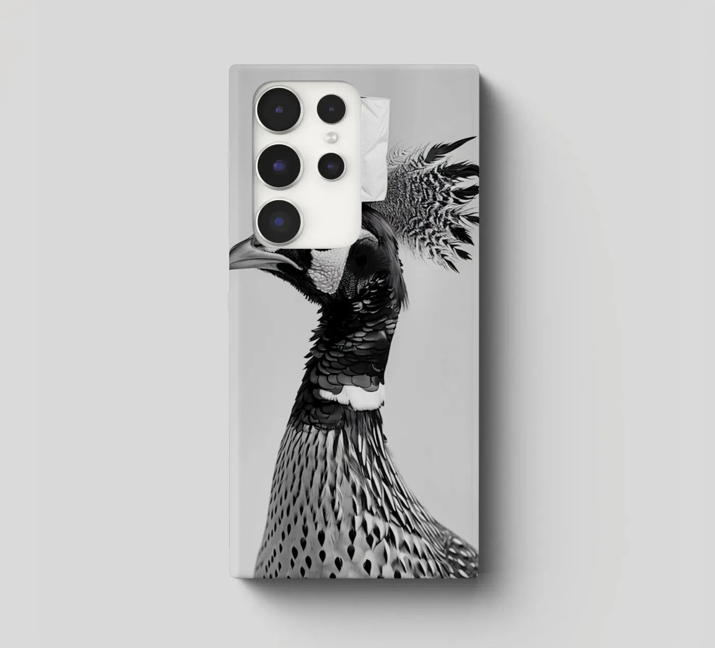 Fagiano cover samsung da animals_studio