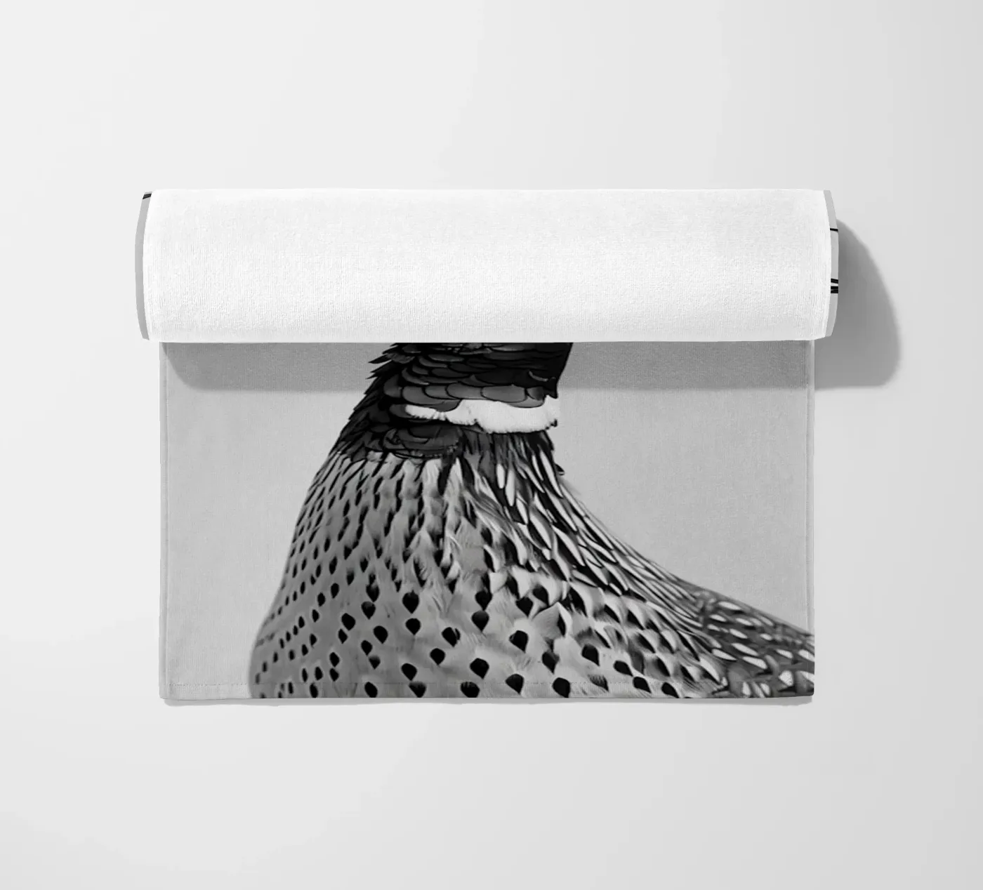 Pheasant telo mare da animals_studio