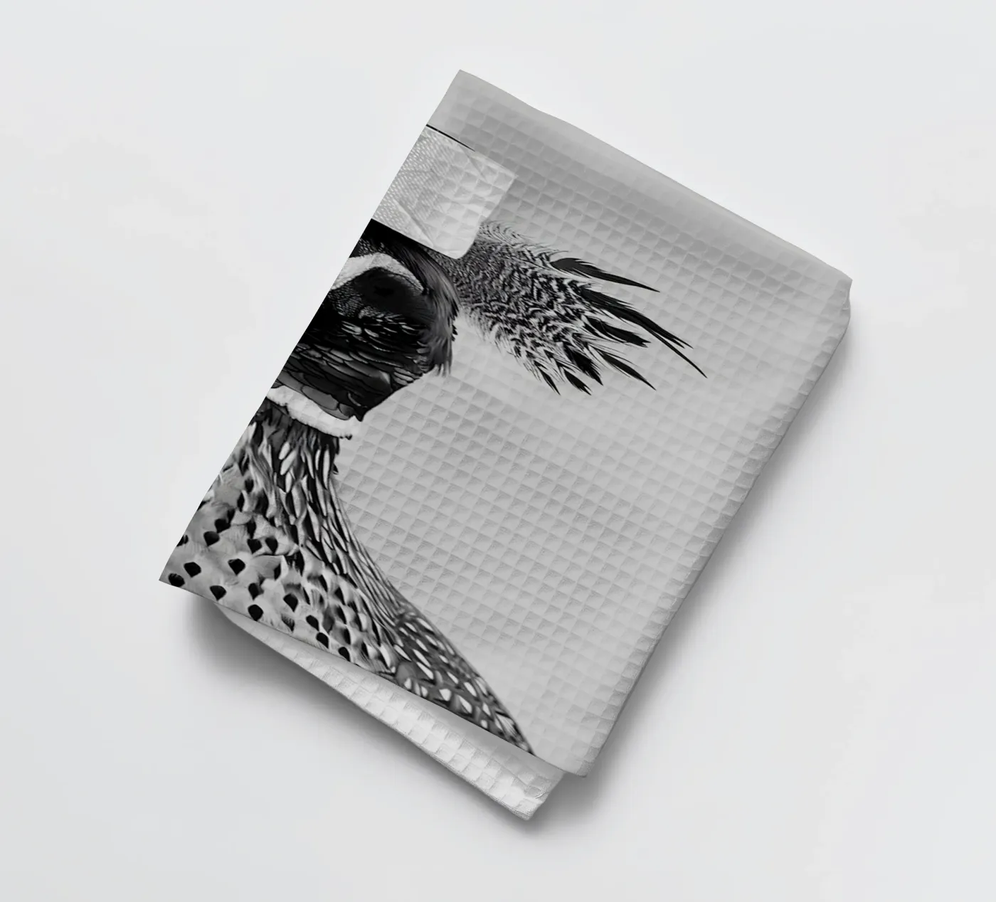 Faisan torchon de animals_studio