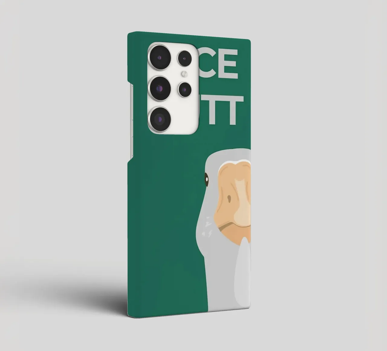 L'oca sciocca cover samsung da animals_studio