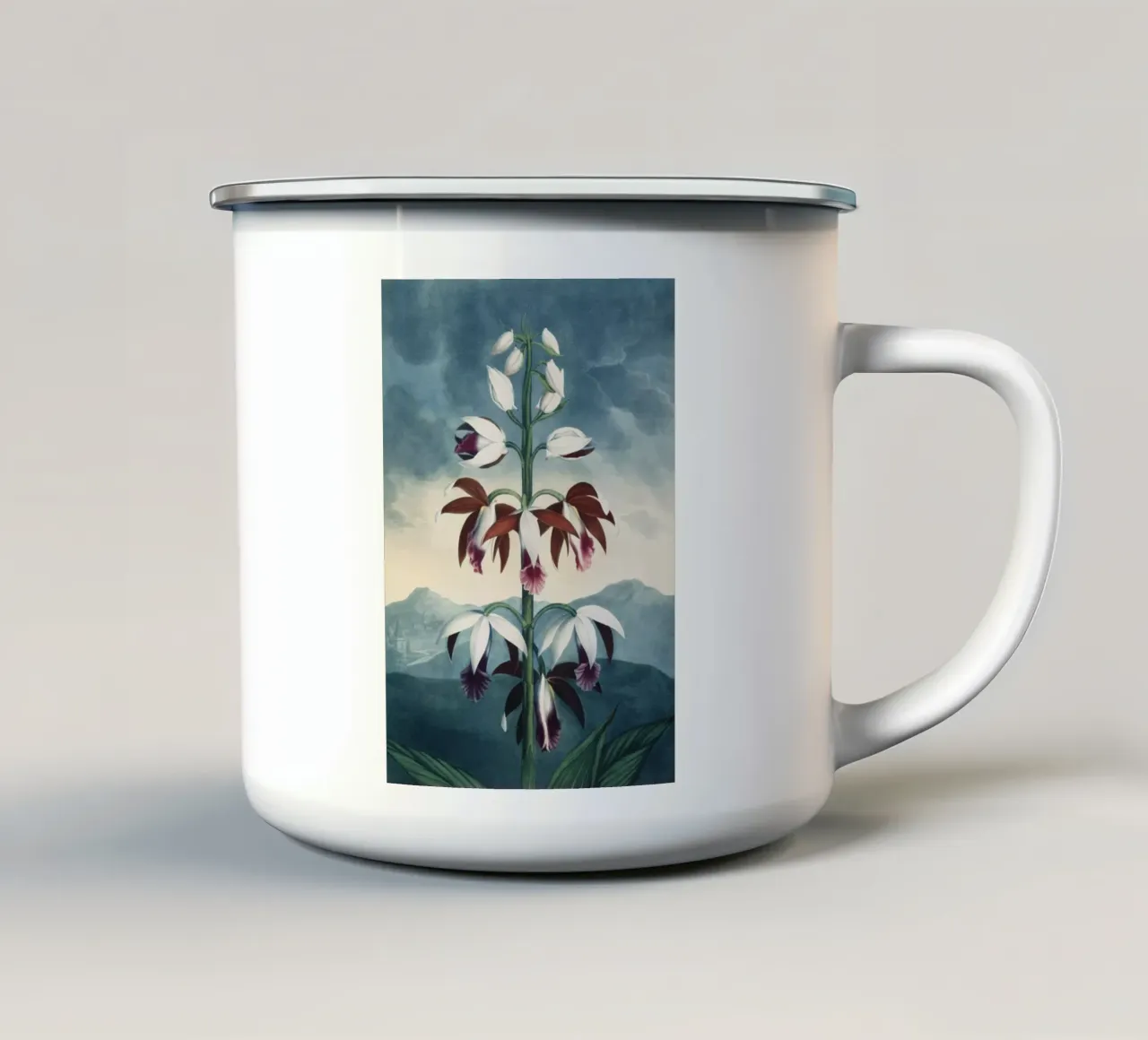 Vintage Thornton 3 China Limodoron tazza in smalto da Vintage Print Collection