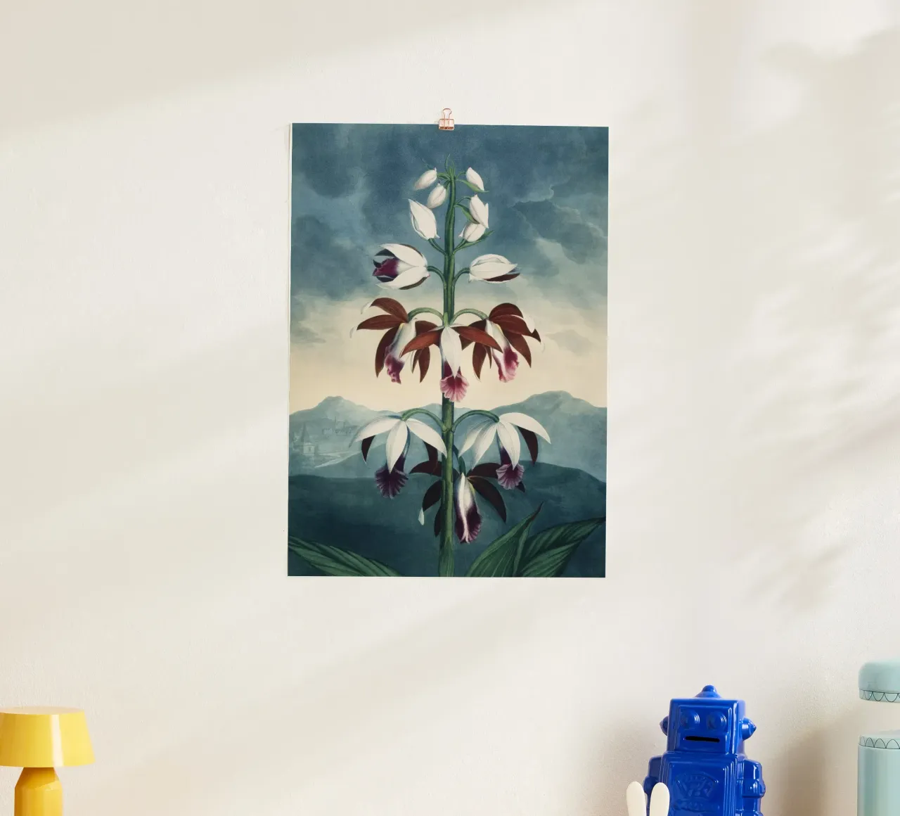 Vintage Thornton 3 China Limodoron poster da Vintage Print Collection