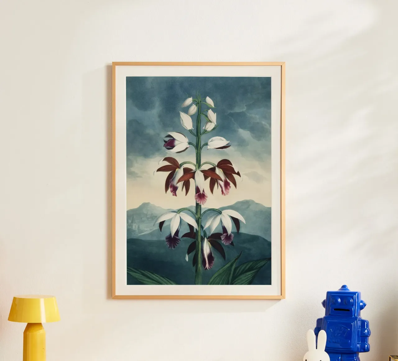 Vintage Thornton 3 China Limodoron poster da Vintage Print Collection