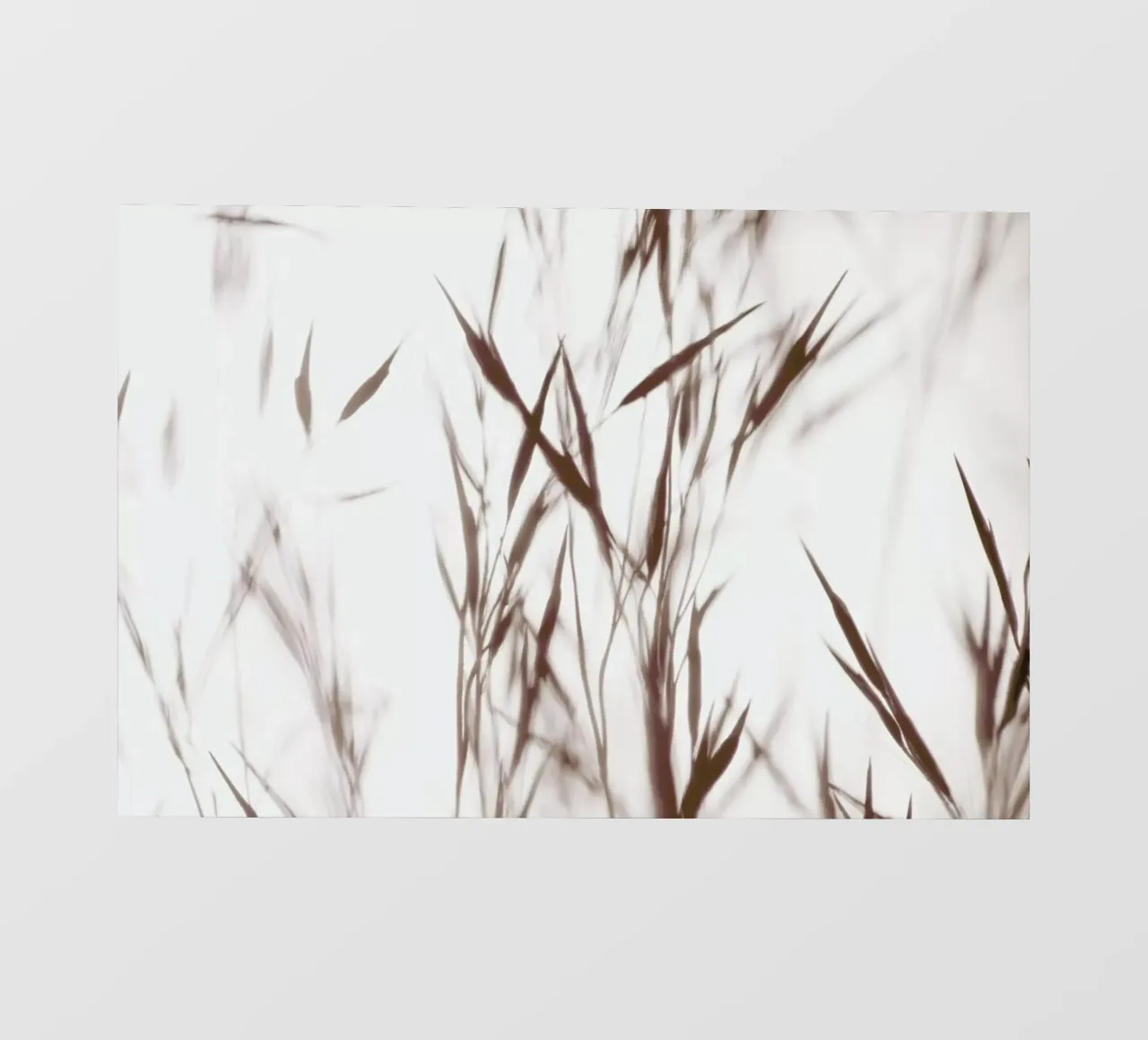 Elegant Grass - Gräser im Nebel telo in pvc da Monika Strigel