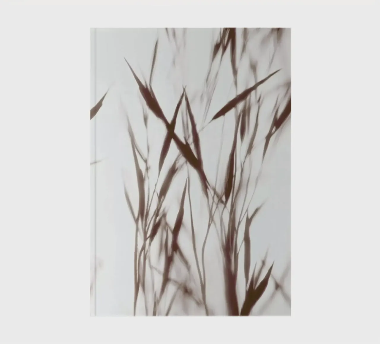 Elegant Grass - Gräser im Nebel notebook by Monika Strigel