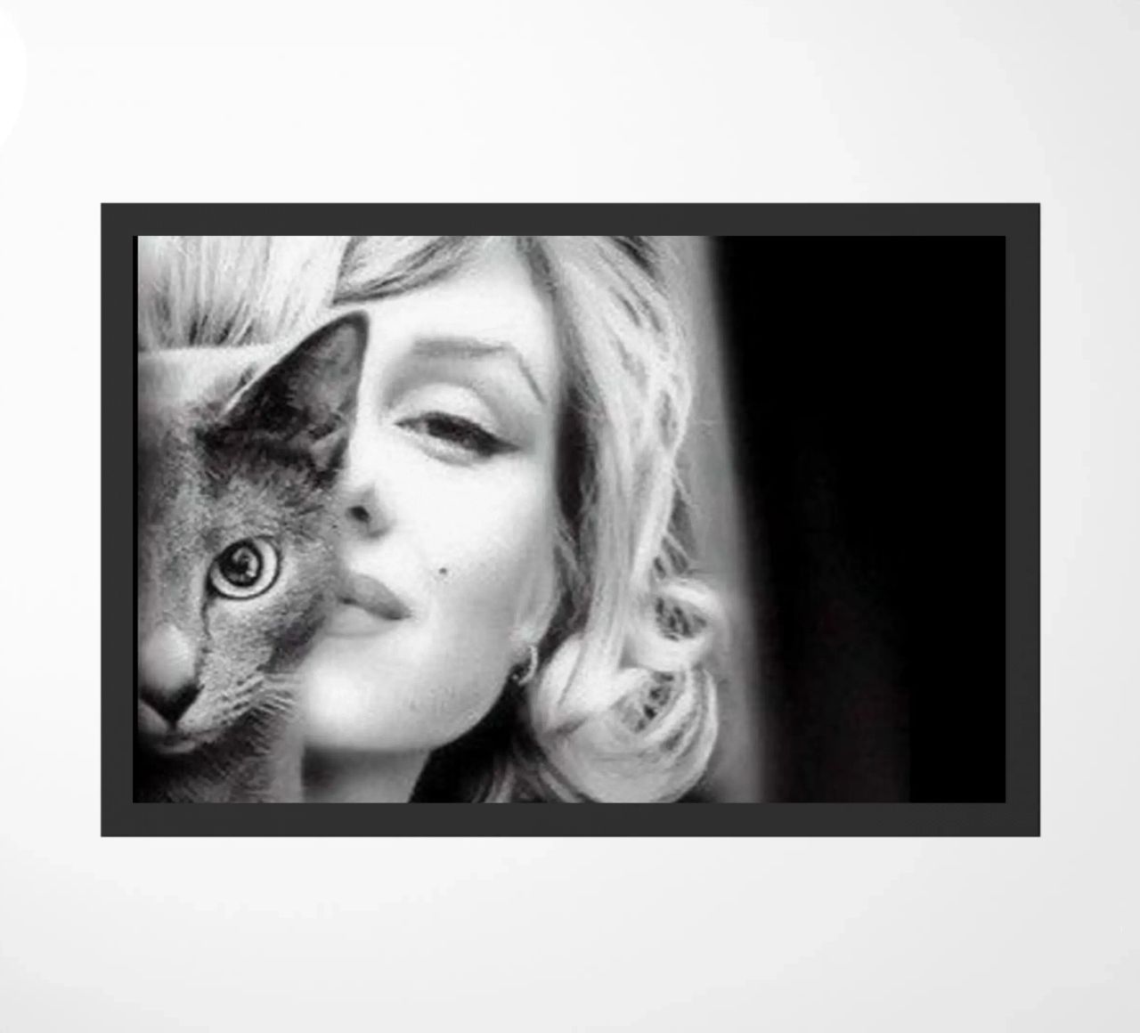Ragazza con gatto zerbino da Cosmos Studio