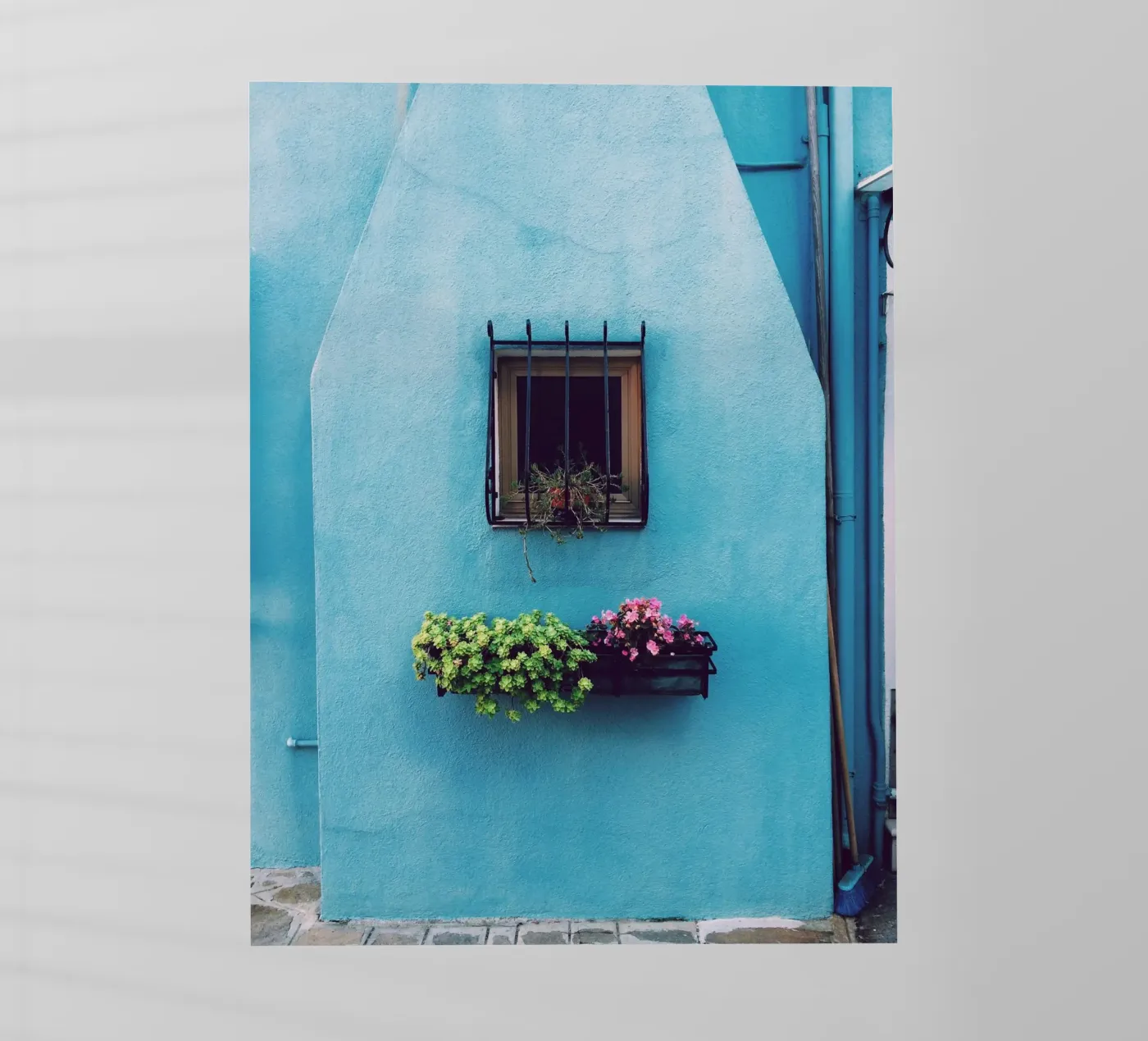 finestra singola pellicola backlit da Bleu