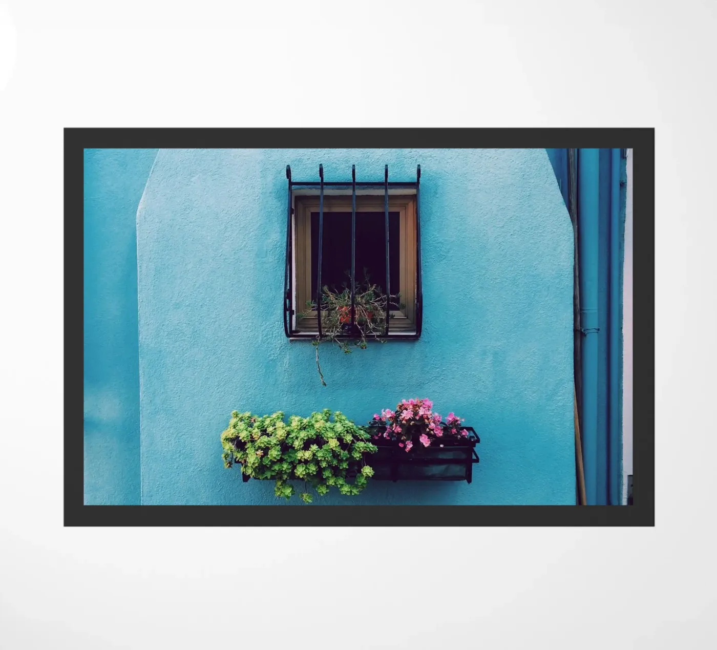 single window deurmat van Bleu