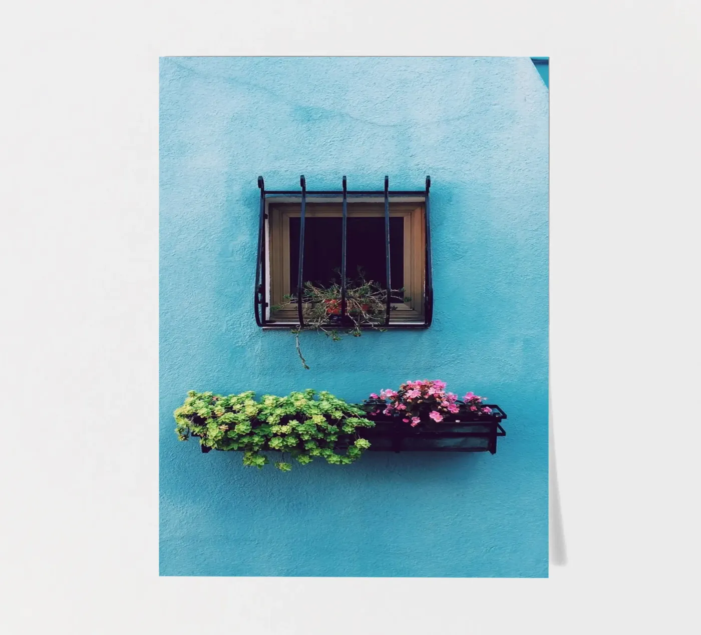 single window sticker sheet by Bleu