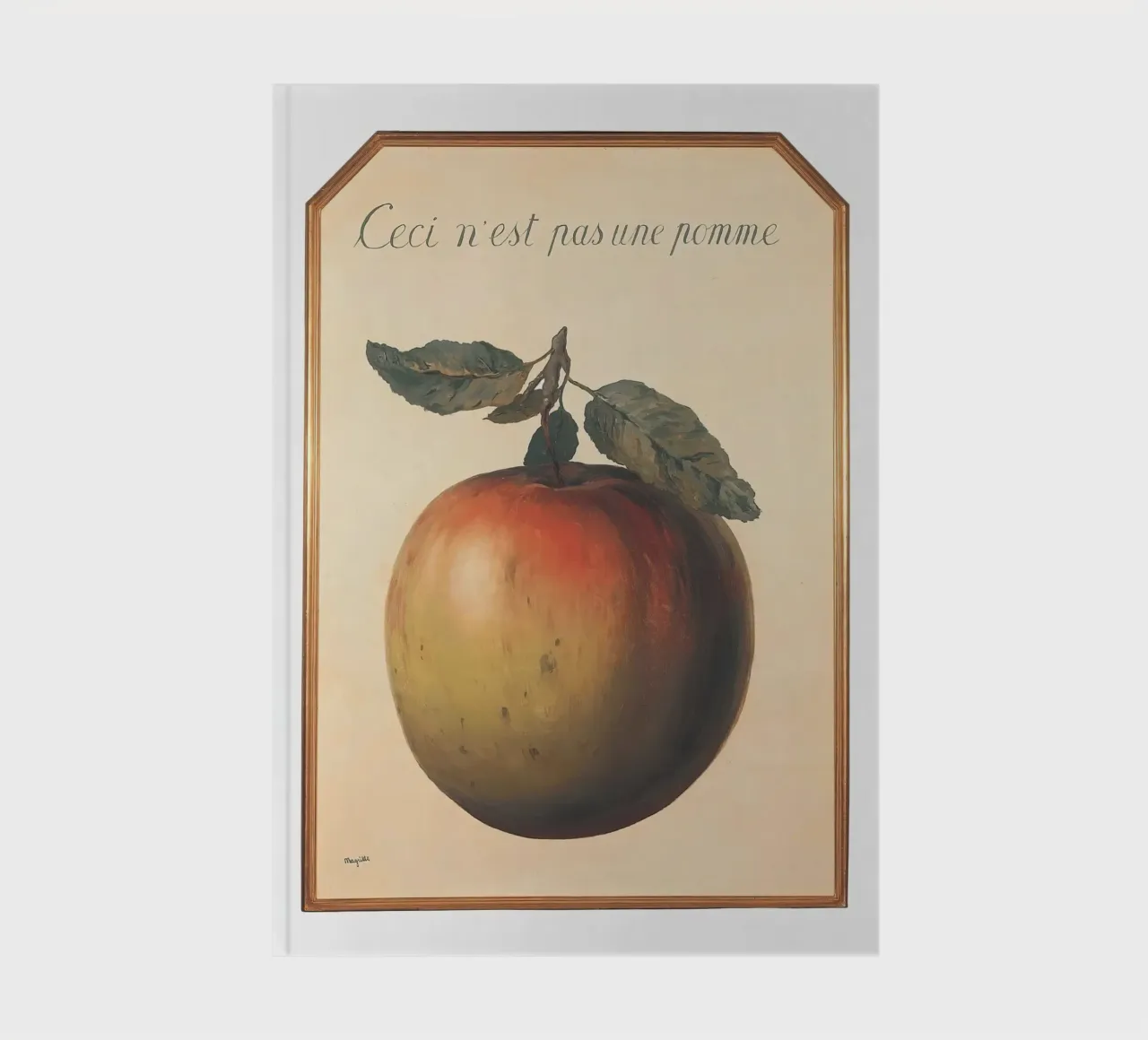 This is not an Apple notebook by aaron Shop