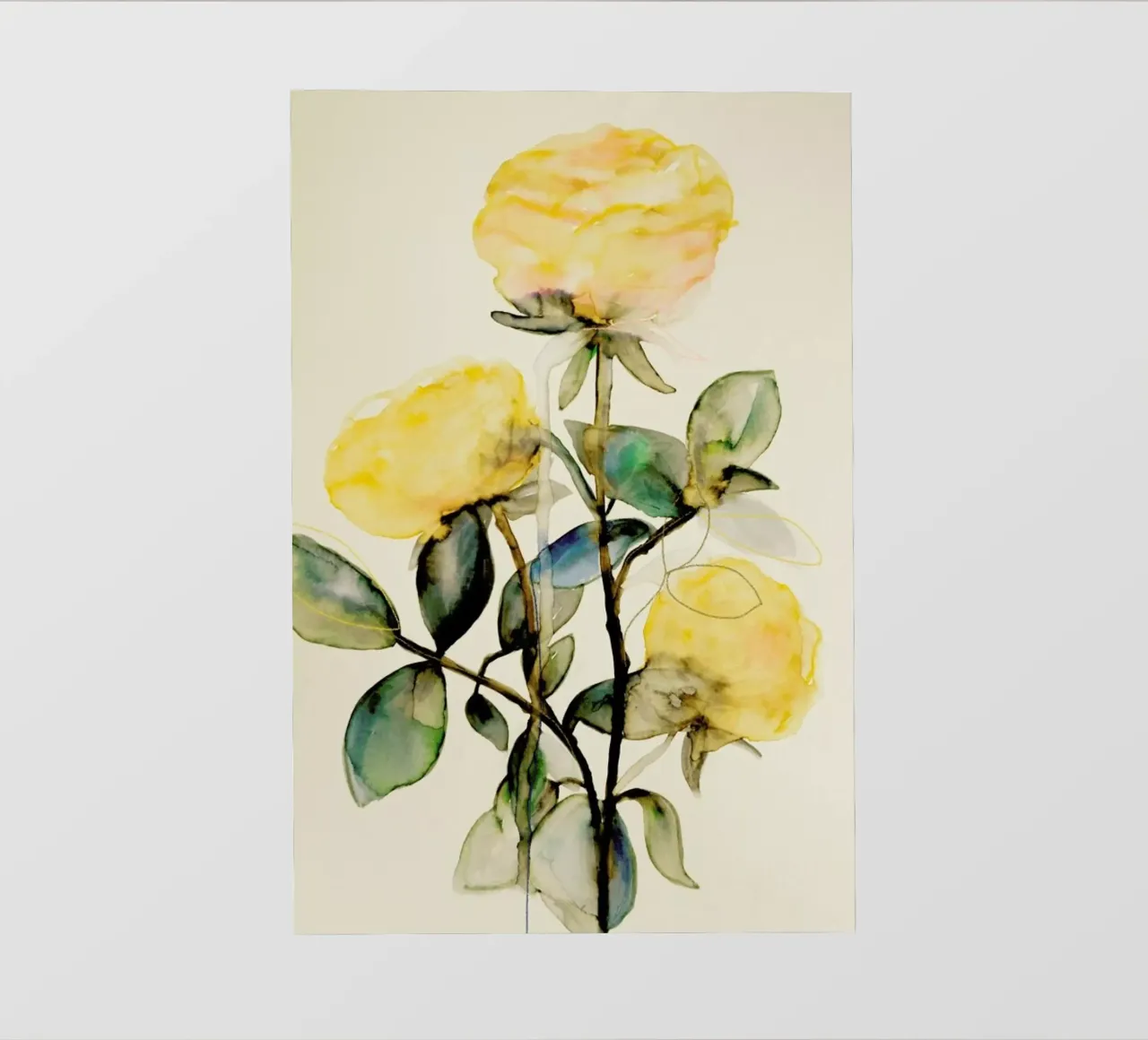 Lemonrose pellicola backlit da Leigh Viner