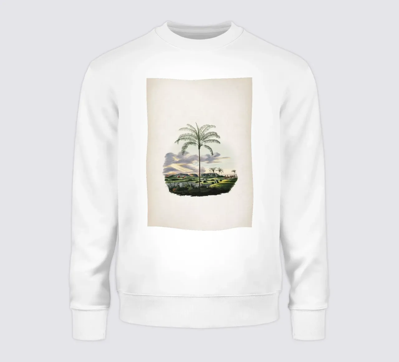 Vintage Martius 2 Syagrus Cocoides felpa da Vintage Print Collection