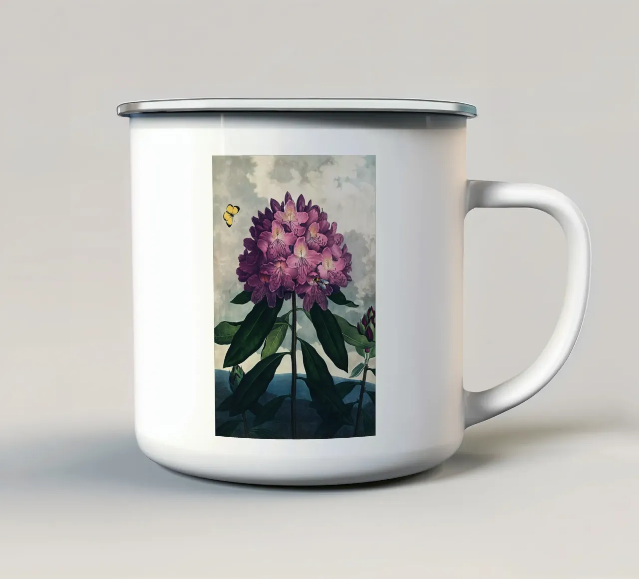 Vintage Thornton 4 Pontic Rhododendron tazza in smalto da Vintage Print Collection
