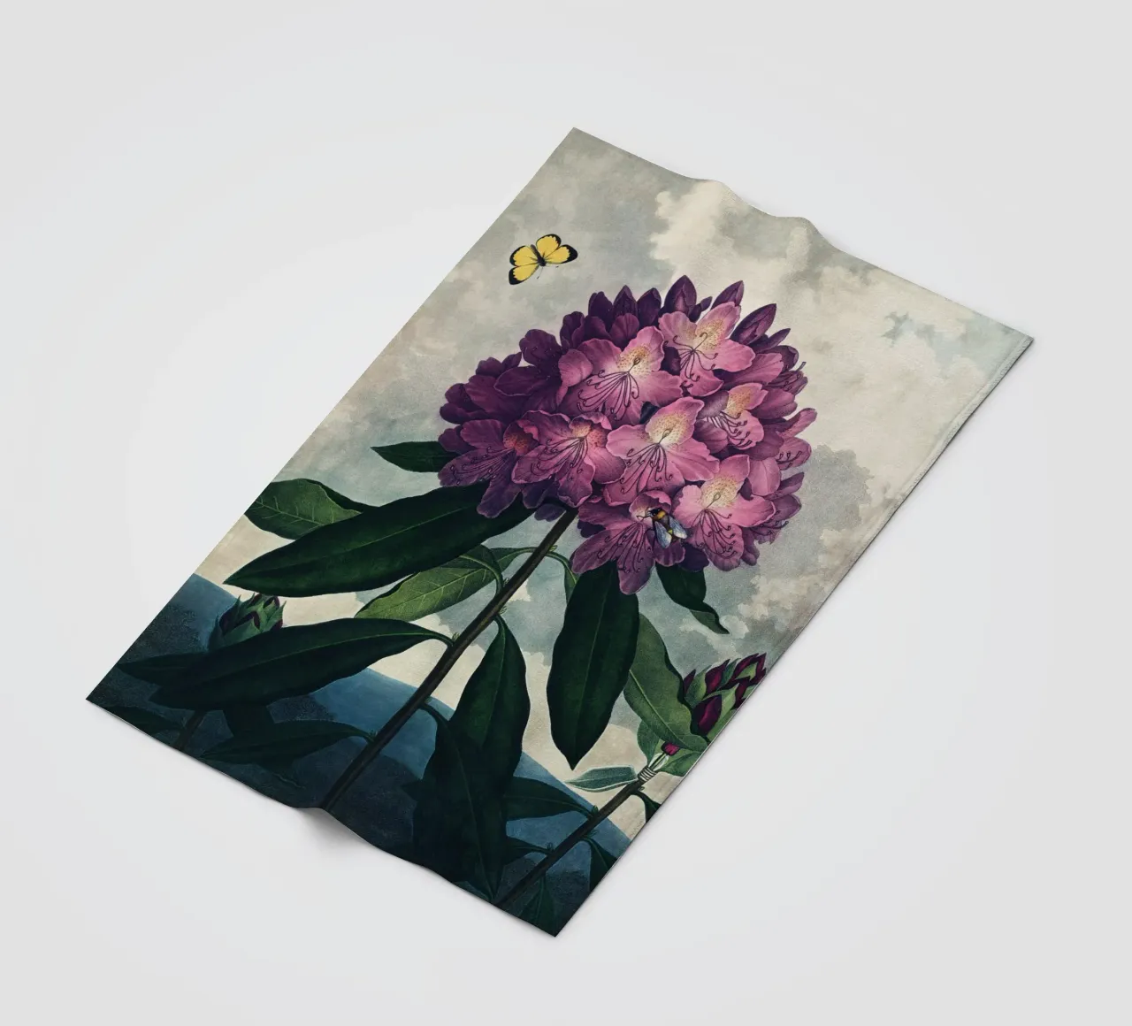Vintage Thornton 4 Pontic Rhododendron coperta in pile da Vintage Print Collection