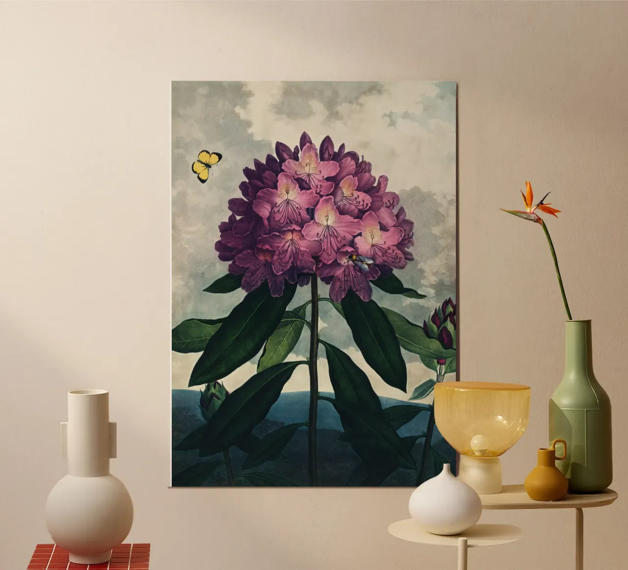 Vintage Thornton 4 Pontic Rhododendron alluminio dibond da Vintage Print Collection