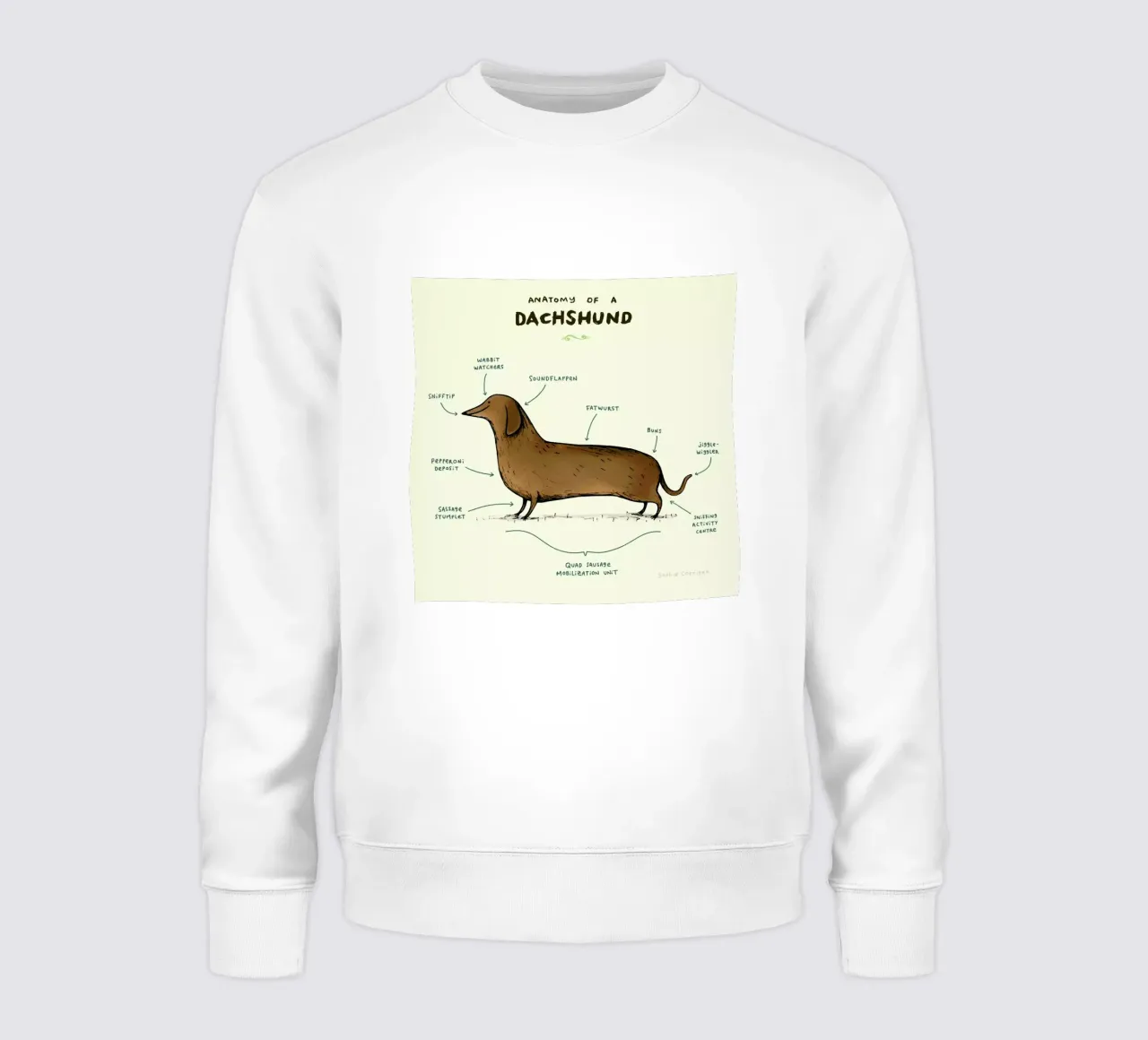 Anatomy Of A Dachshund felpa da Sophie Corrigan