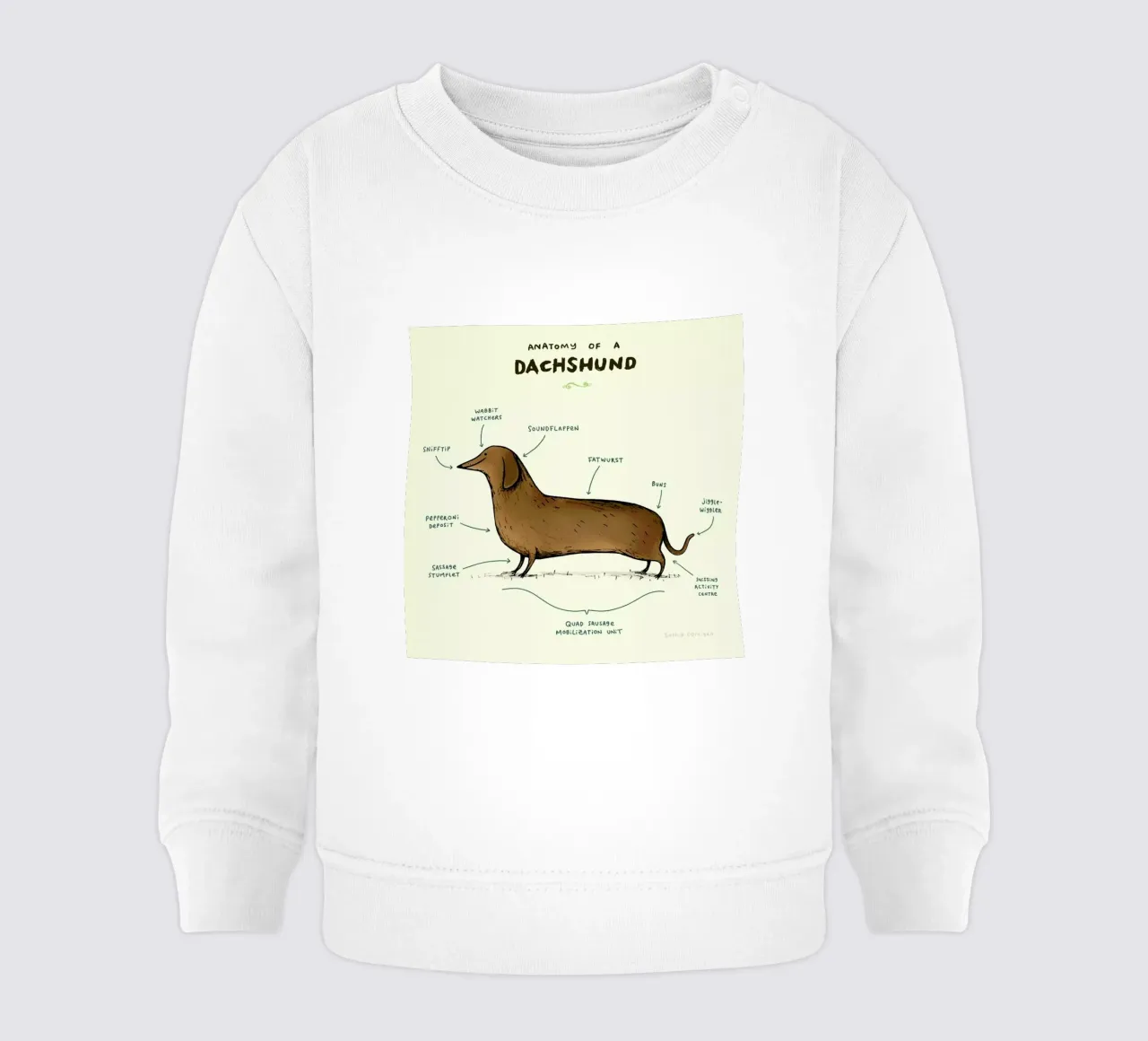 Anatomy Of A Dachshund felpa neonato da Sophie Corrigan