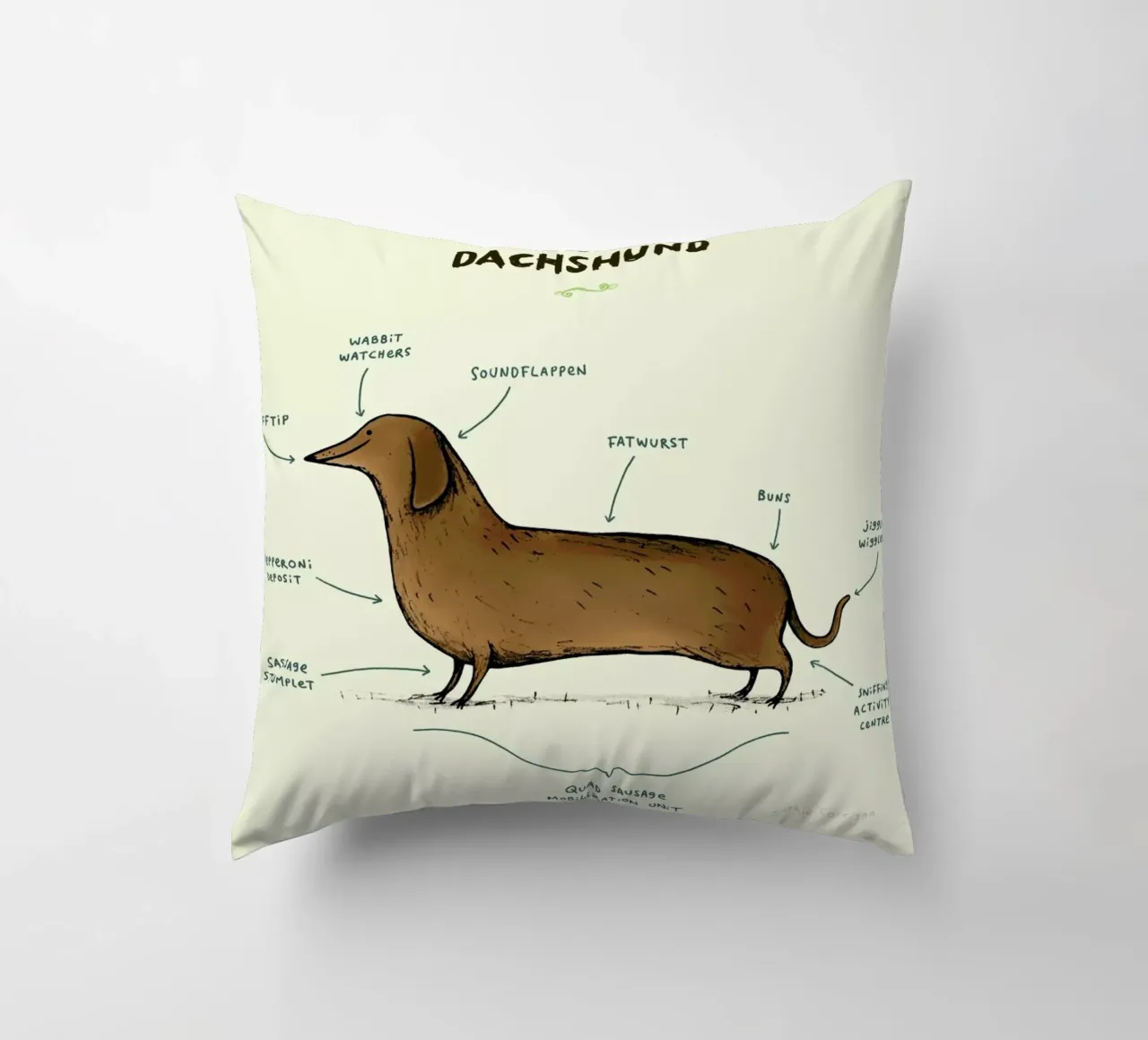 Anatomy Of A Dachshund cuscino da Sophie Corrigan