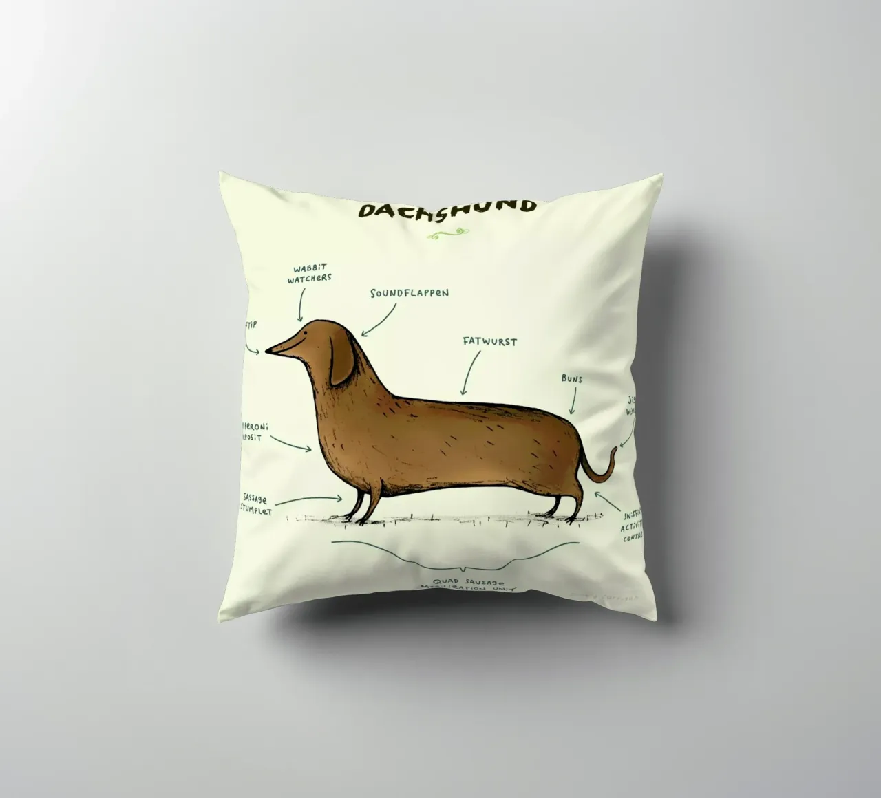 Anatomy Of A Dachshund cuscino da Sophie Corrigan