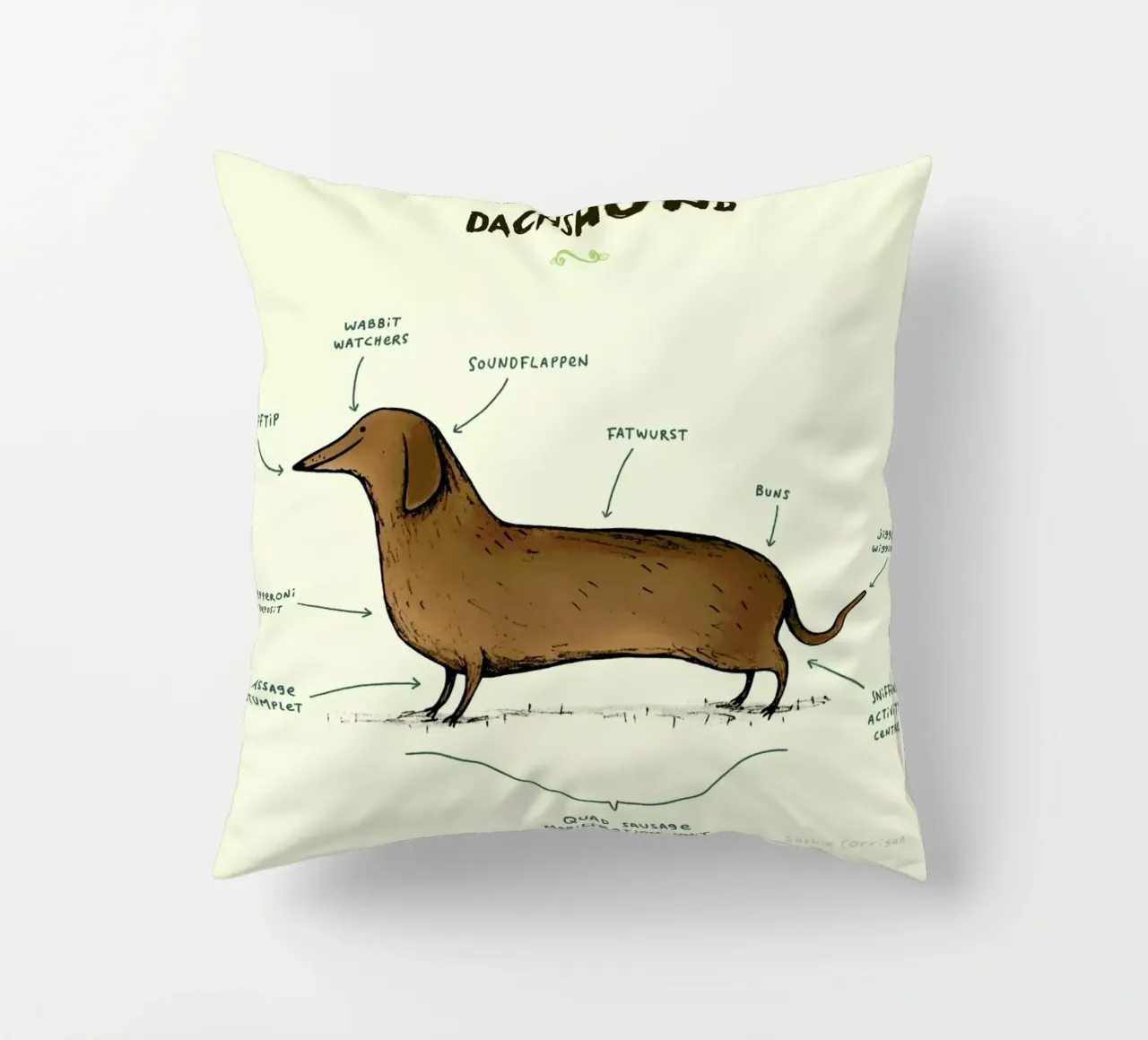 Anatomy Of A Dachshund cuscino da Sophie Corrigan