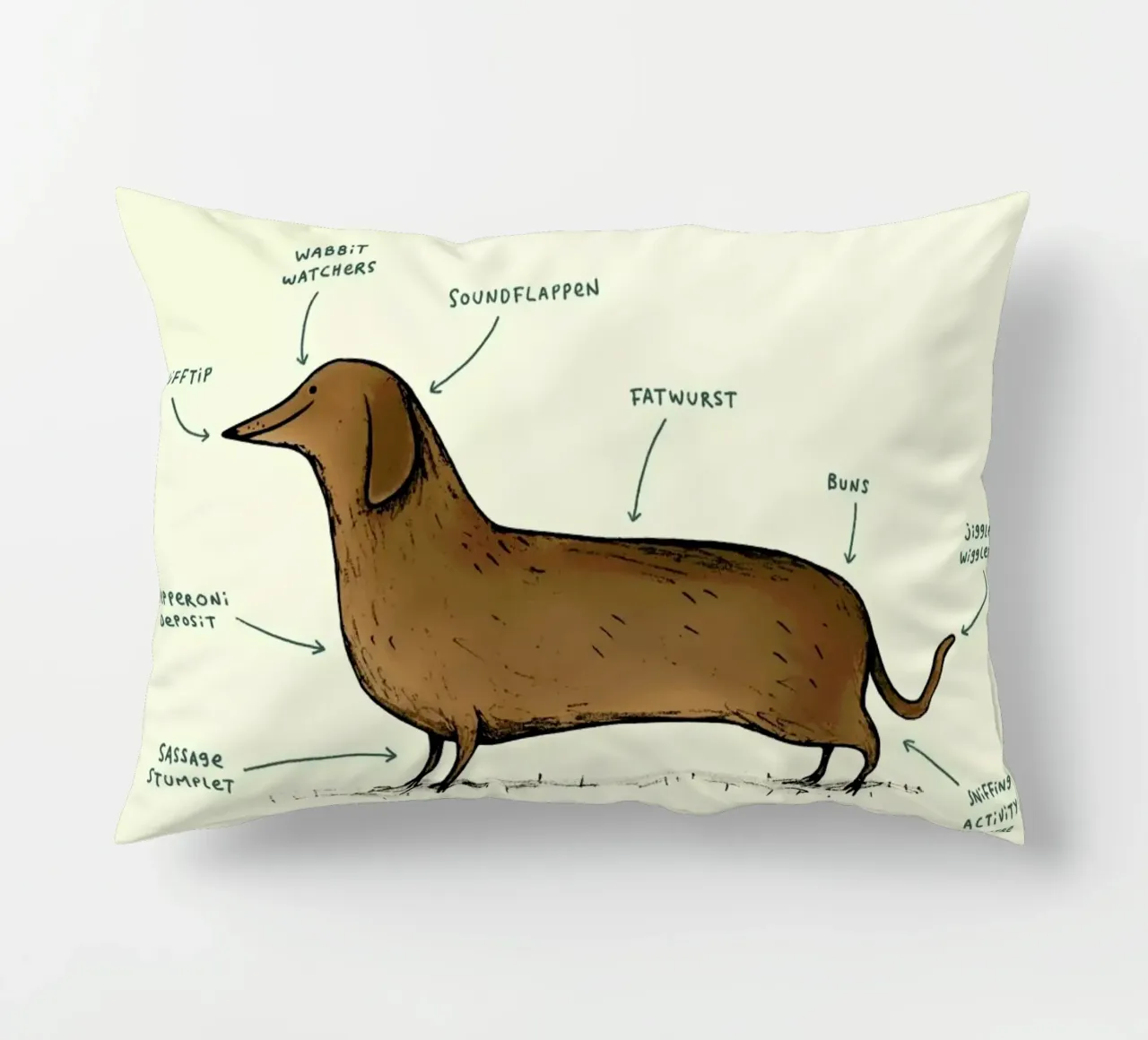 Anatomy Of A Dachshund cuscino da Sophie Corrigan