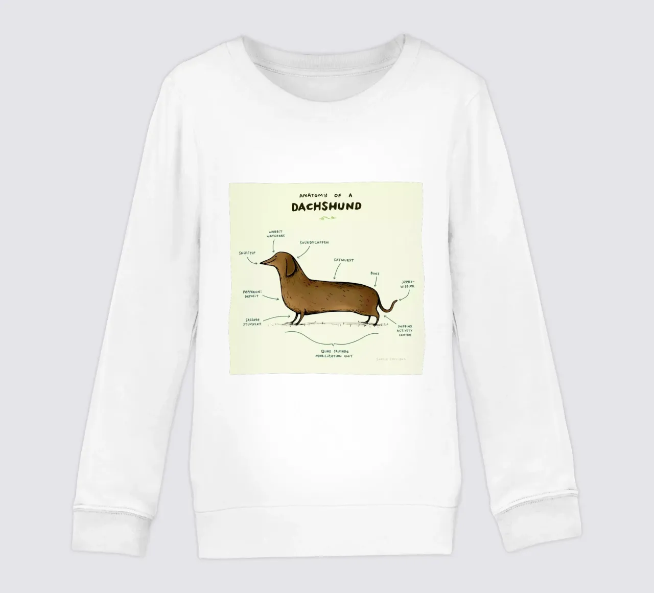 Anatomy Of A Dachshund felpa bambino da Sophie Corrigan