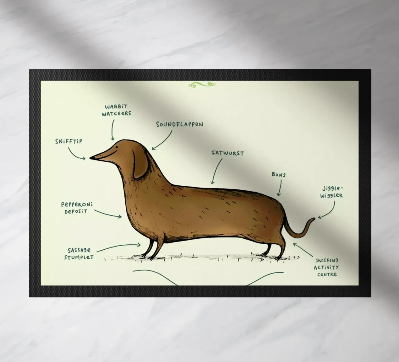 Anatomy Of A Dachshund zerbino da Sophie Corrigan