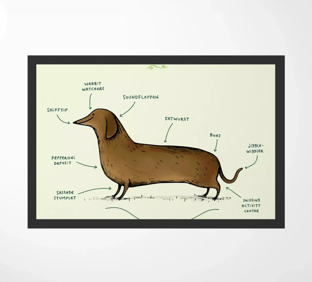 Anatomy Of A Dachshund zerbino da Sophie Corrigan