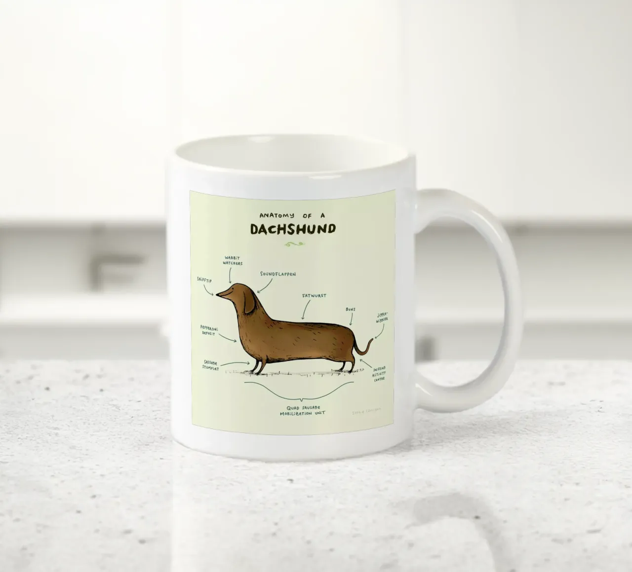 Anatomy Of A Dachshund tazza in ceramica da Sophie Corrigan