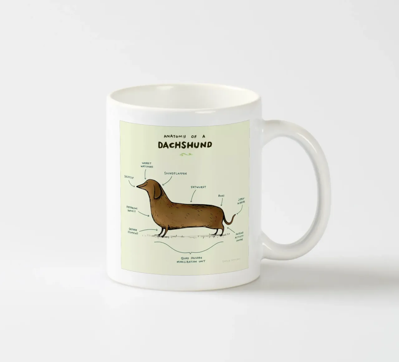 Anatomy Of A Dachshund tazza in ceramica da Sophie Corrigan