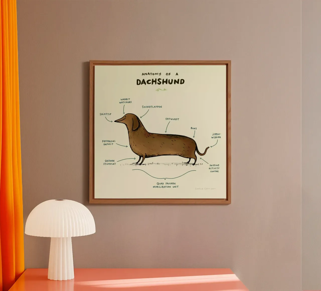 Anatomy Of A Dachshund alluminio dibond da Sophie Corrigan