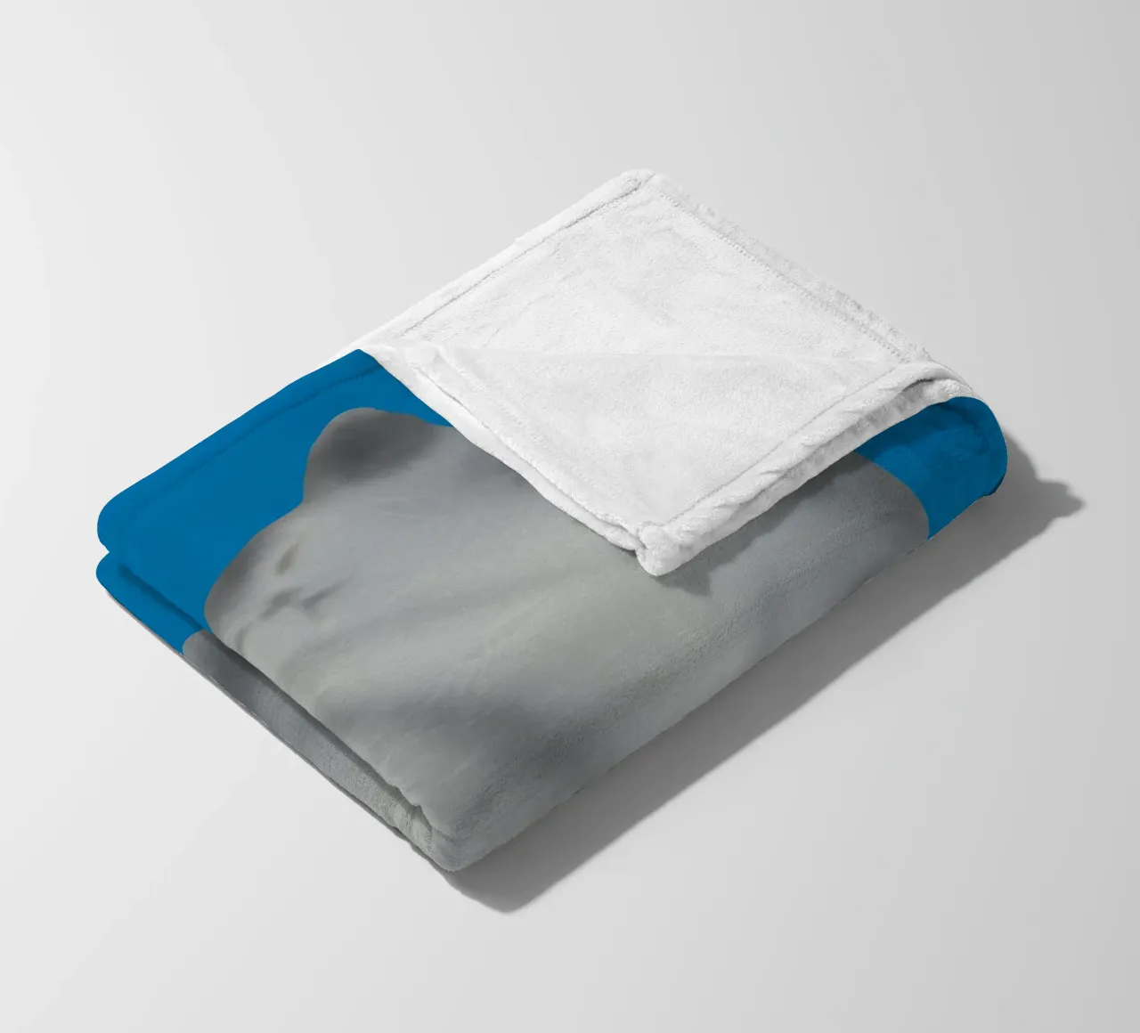 Ritratto di gatto in argento coperta in pile da Little Dean